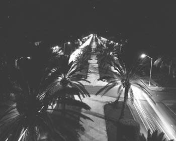 5ta avenida de noche